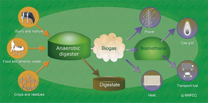 BioGas, Bio Digesters, Bio Fuels, Belize, Renewable Energy, Alternative Fuels, DFC, Development Finance Corporation