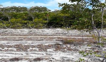 DFC Foreclosed Property Lot Ambergris Caye Belize