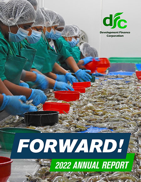 DFC Annual Report 2022